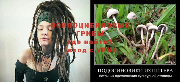 крисы Арсеньев