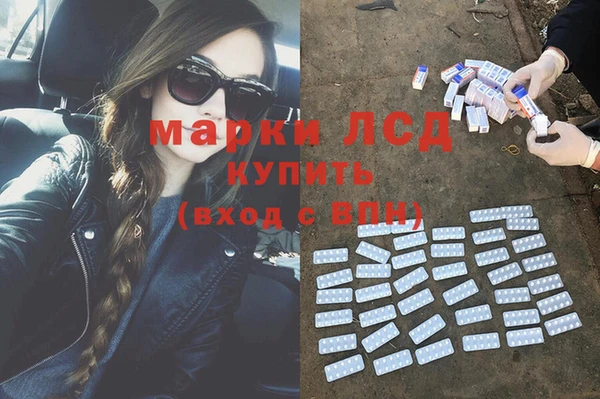 a pvp Аркадак